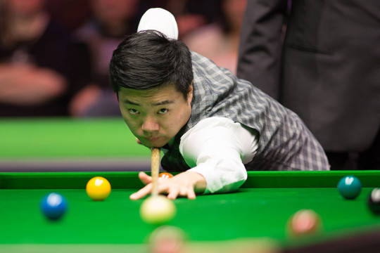 他们往往选 他们往往选