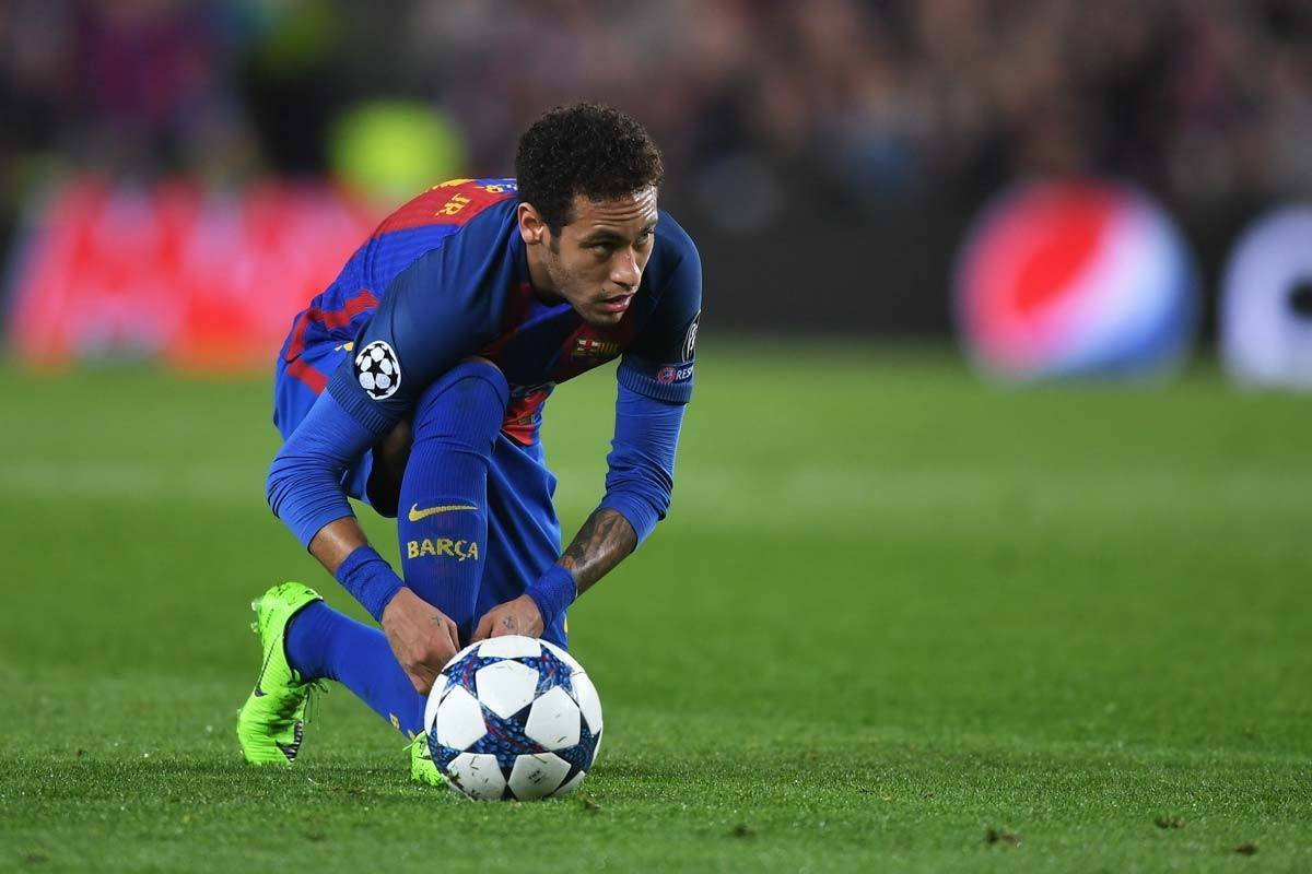 他们适应多 他们适应多