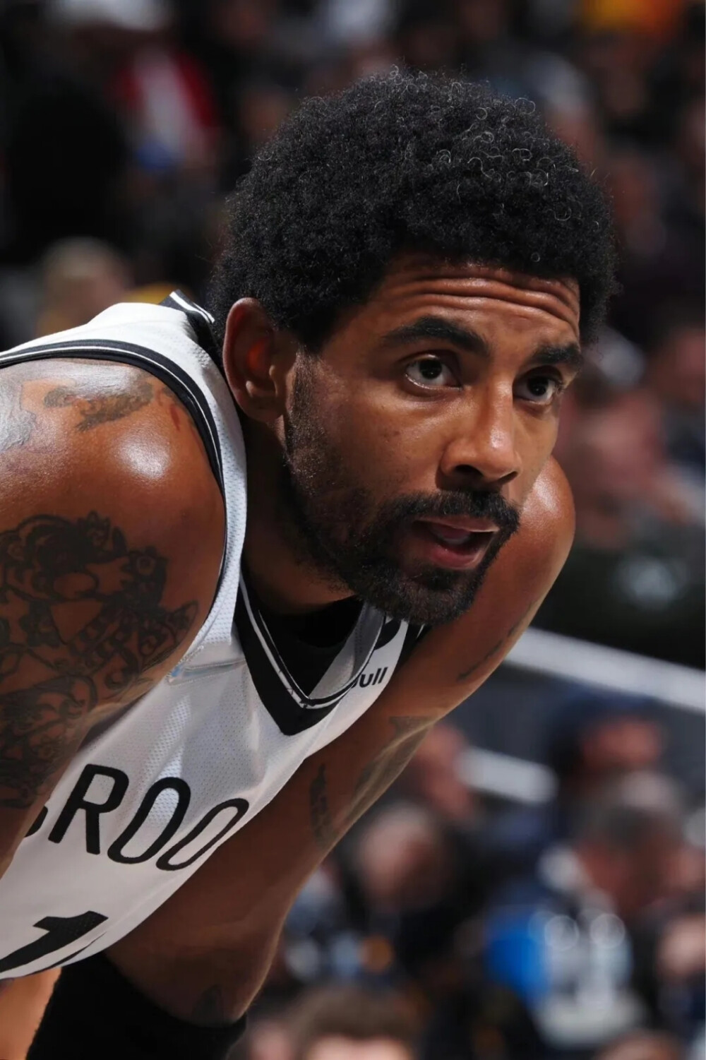 积极的篮板 积极的篮板