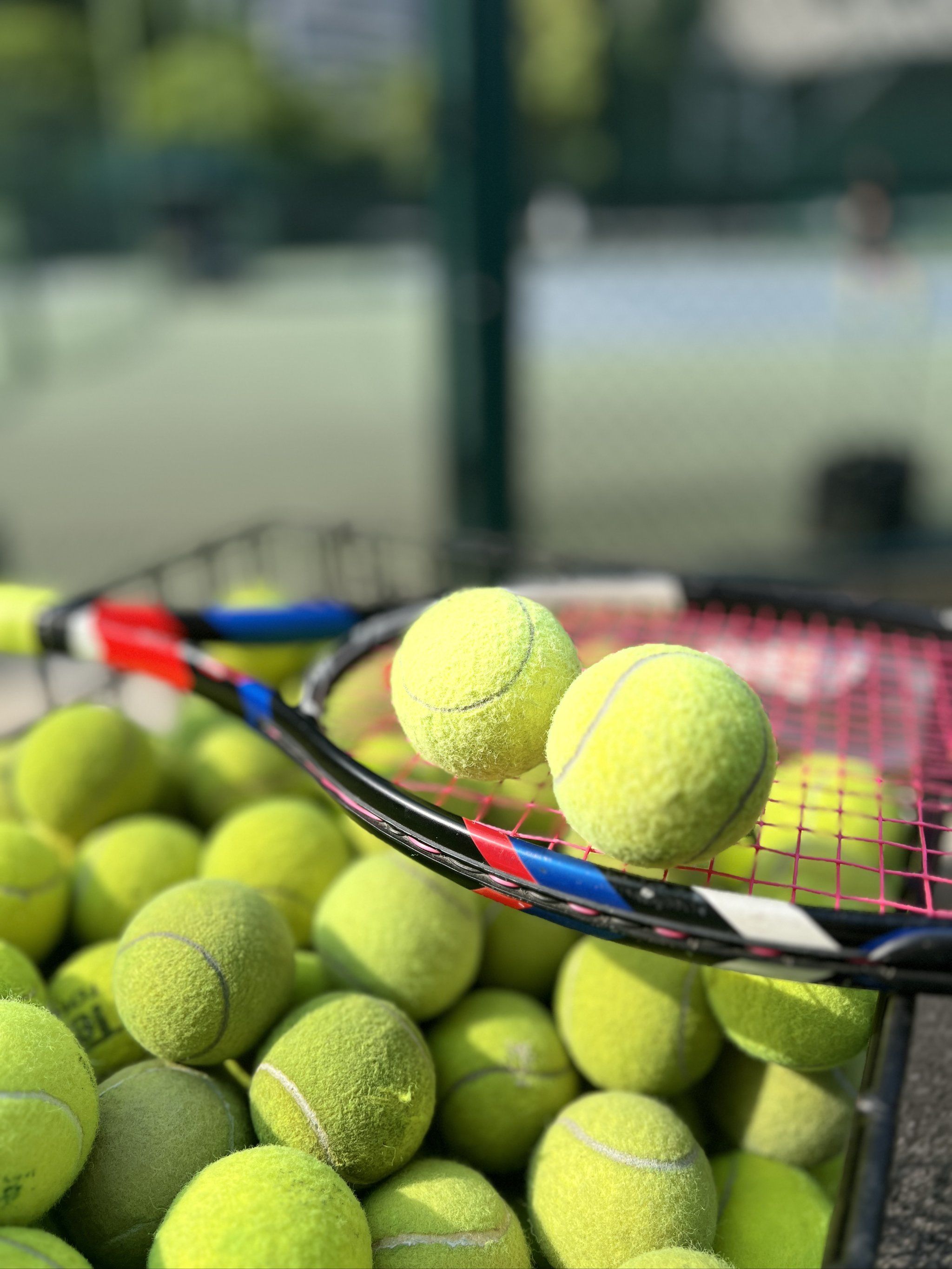 寻求更大的 寻求更大的