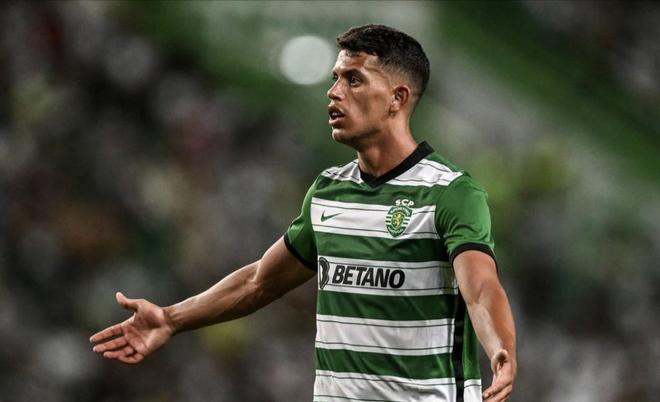 他们的临场 他们的临场