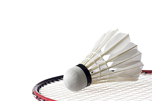 活力十足 活力十足